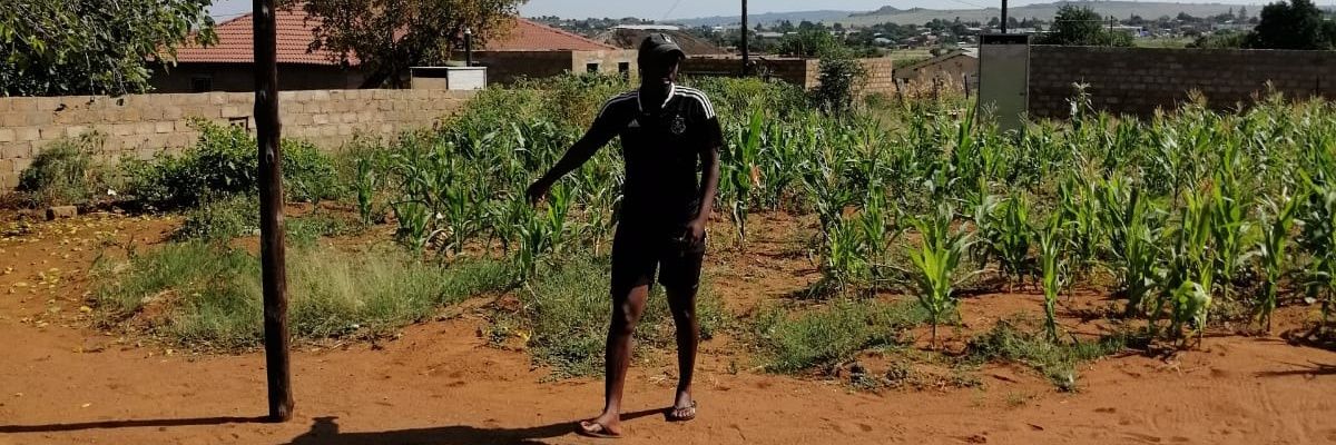 RotoZito's profile banner image