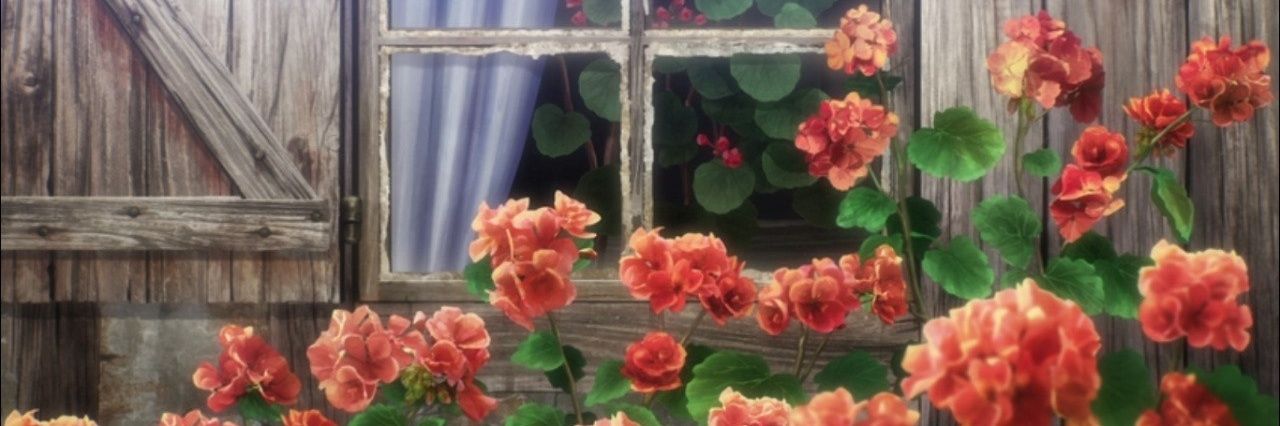 flortit0's profile banner image