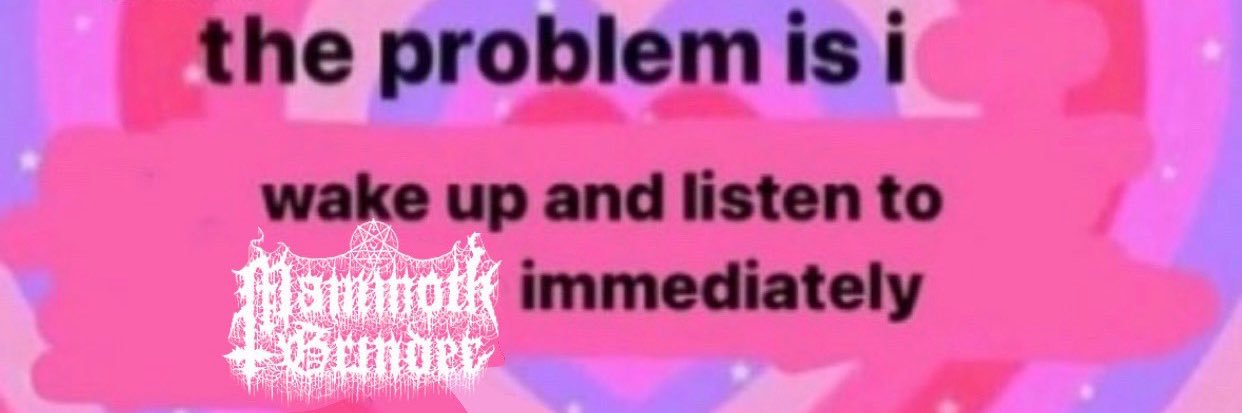 nikki isabelle banner