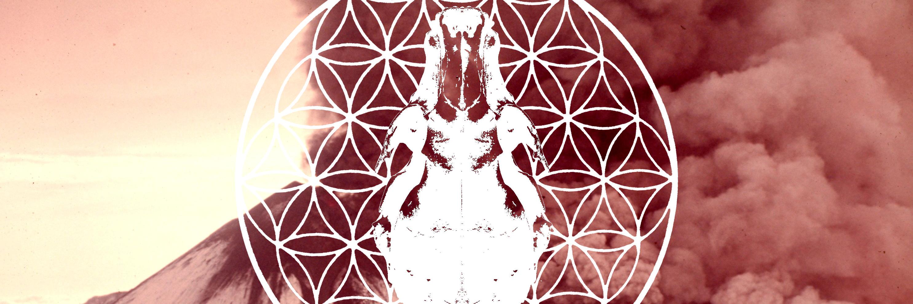 scortini's profile banner image