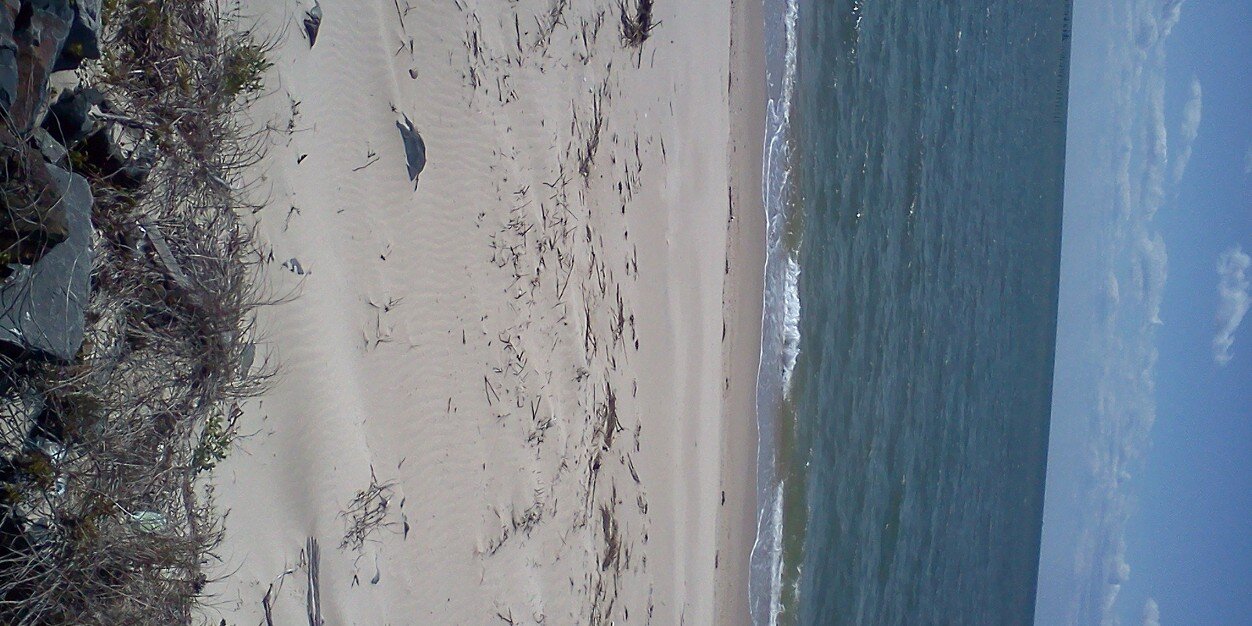 Gretchen Gensemer banner