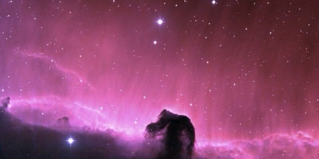 🔴Raydizzo🔴 banner