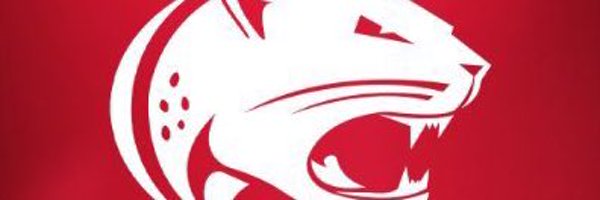 TheReaEffect Profile Banner