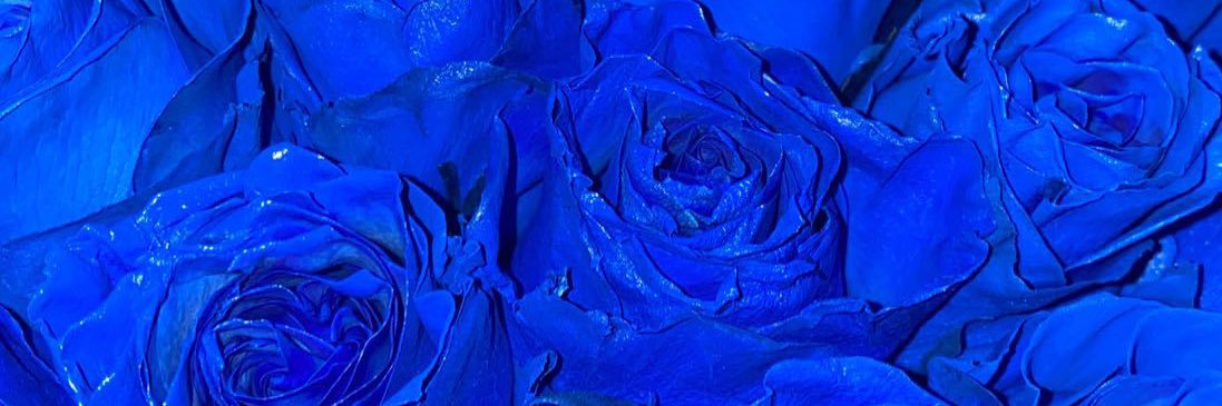 amesha134's profile banner image