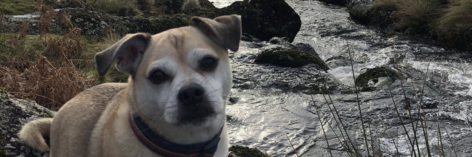 Col Simon Westlake Royal Marines banner