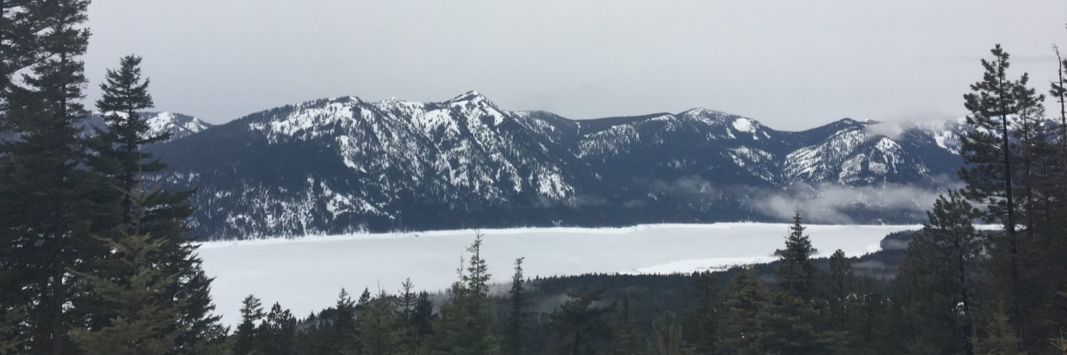 TaylorLindberg's profile banner image