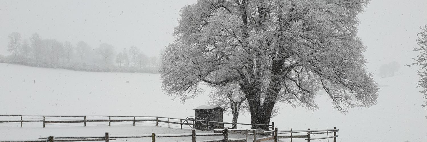 Benoît Mesot🇨🇭 banner