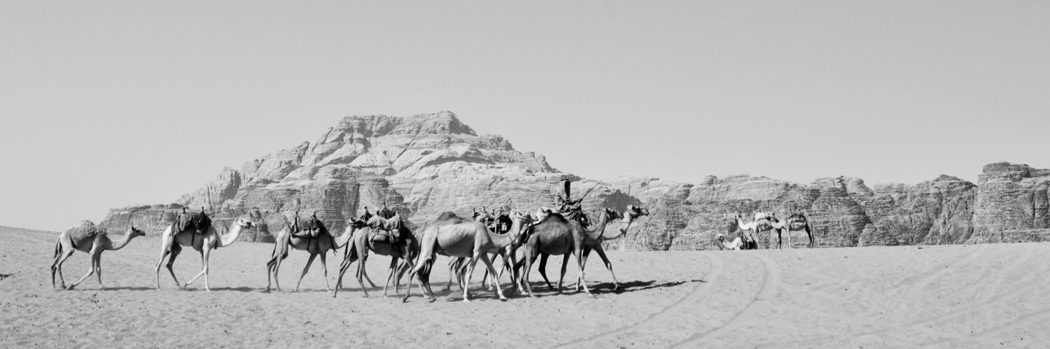 sabalieke's profile banner image
