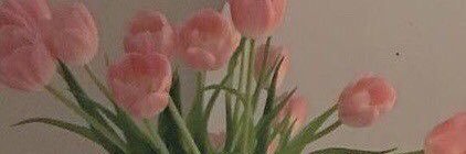 iAsma_ya's profile banner image
