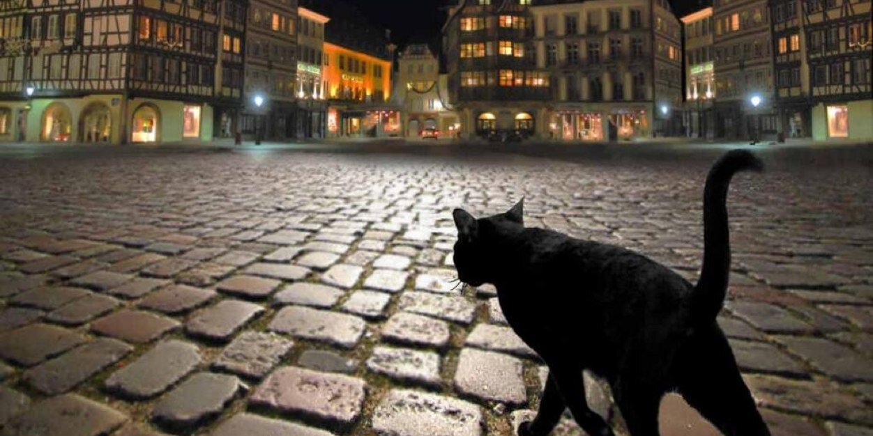 choricat's profile banner image
