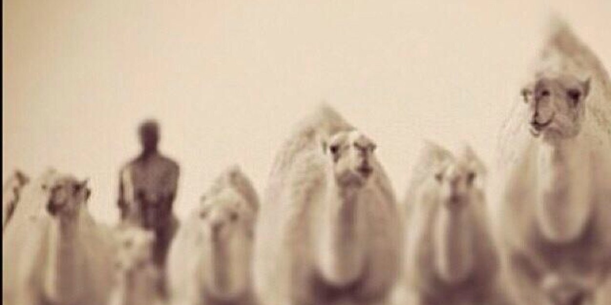 khailan_101's profile banner image