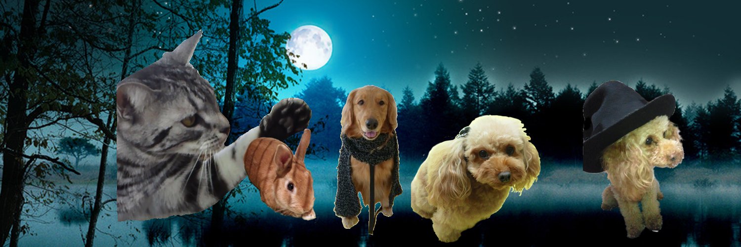 GAIAGOROU's profile banner image