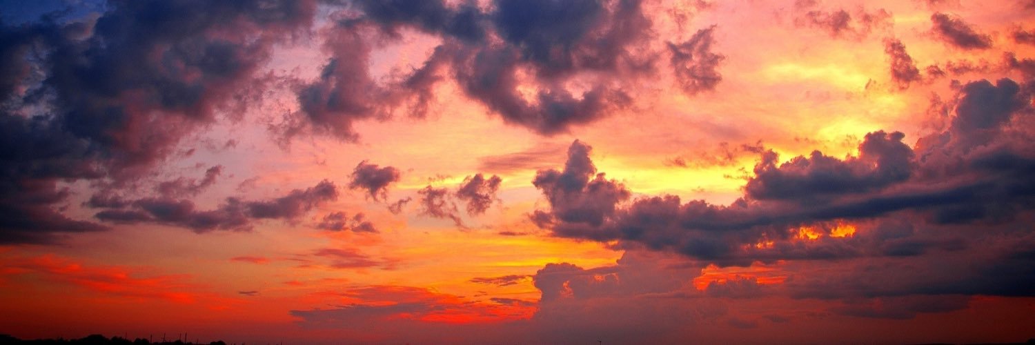 Cali4Evr's profile banner image