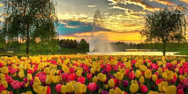 _abdullah67's profile banner image