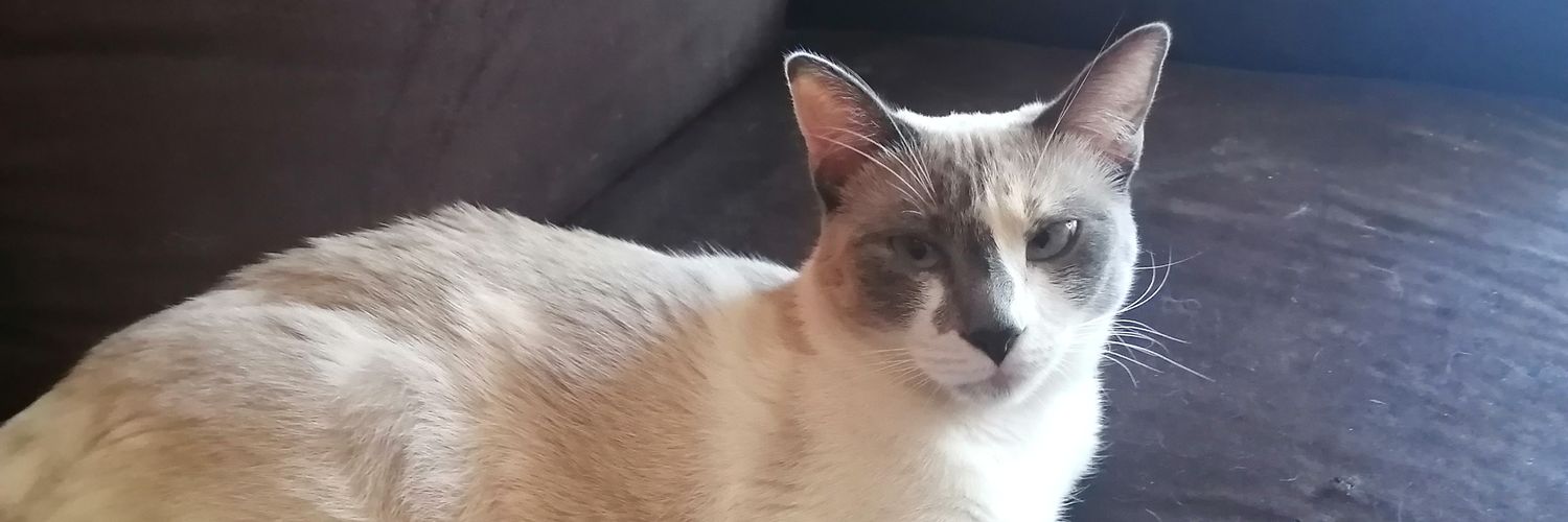 Jessilu97's profile banner image