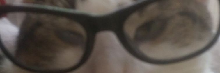 Sylvieadele's profile banner image