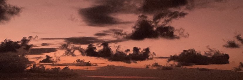CSofiaRiveraC's profile banner image