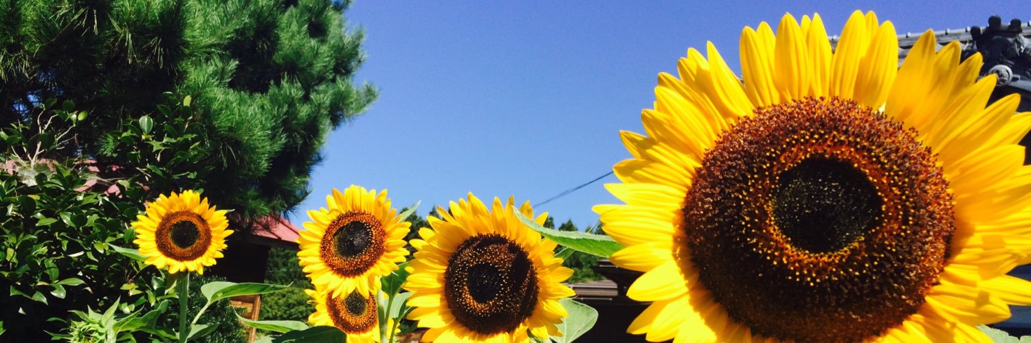 kto823's profile banner image