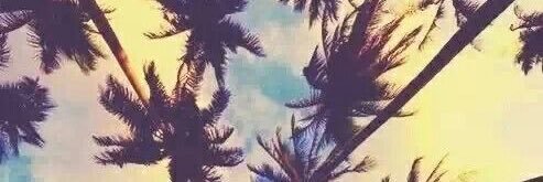 ayedigrillo's profile banner image