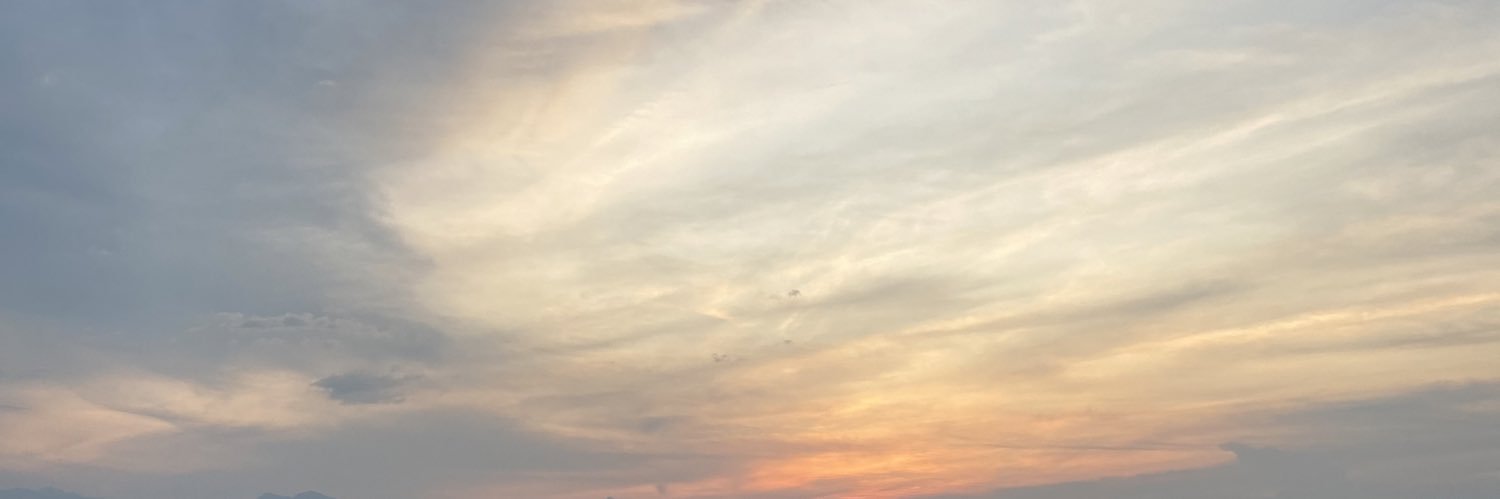 shalsaayang's profile banner image