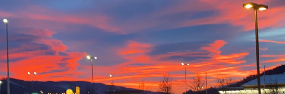 kat 🌻 banner