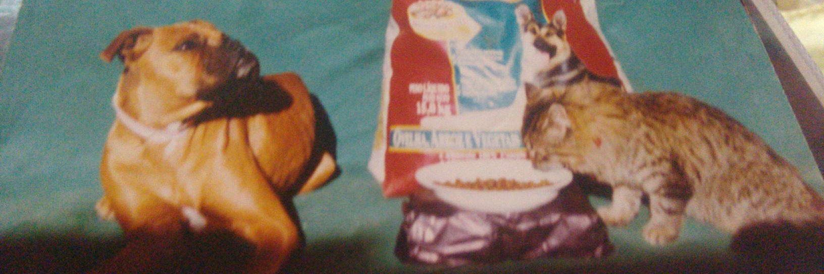 juanis64's profile banner image