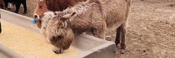 Agronomyjay Profile Banner