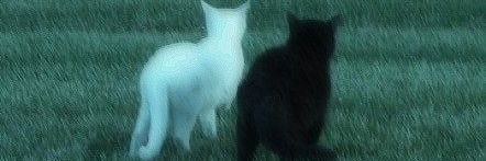mrllmcln's profile banner image