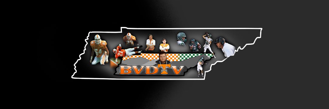 BVD banner