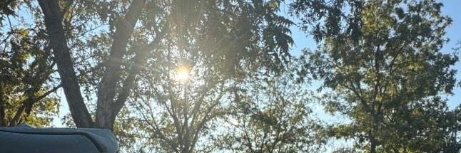 lai_Sanchez's profile banner image