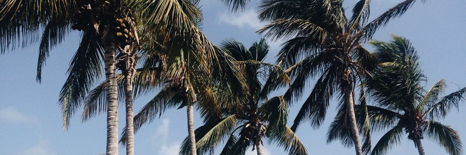veermahree's profile banner image