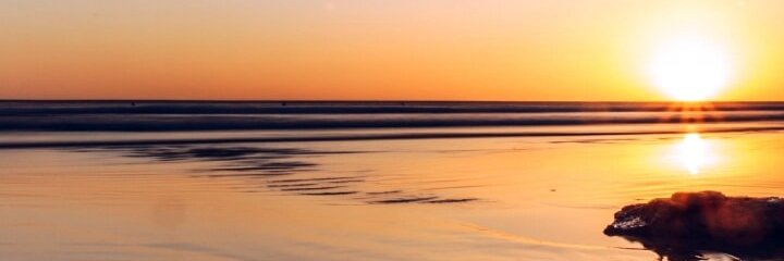 briangupt's profile banner image