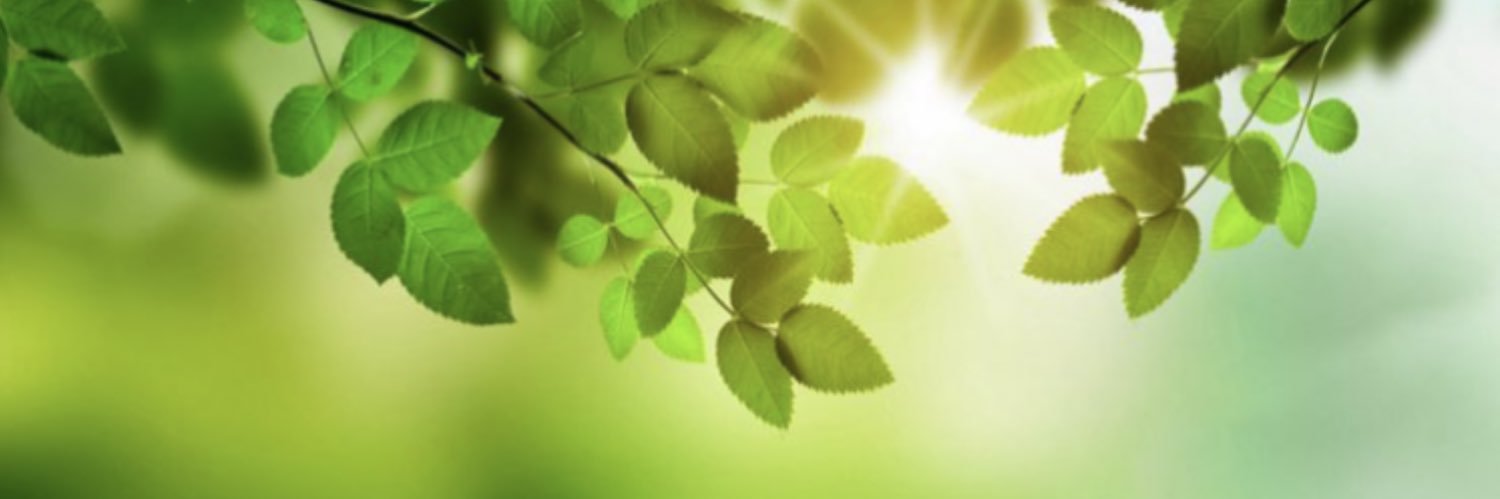 Julia♥️🏴󠁧󠁢󠁥󠁮󠁧󠁿🇬🇧 banner