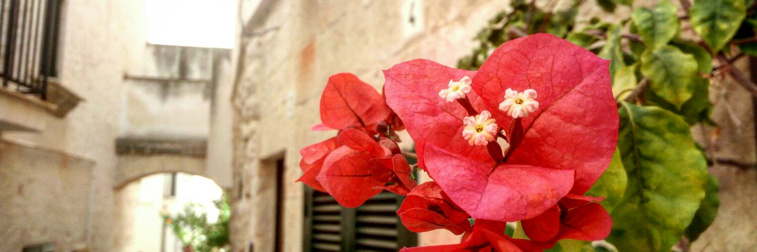 Alessandra5987's profile banner image