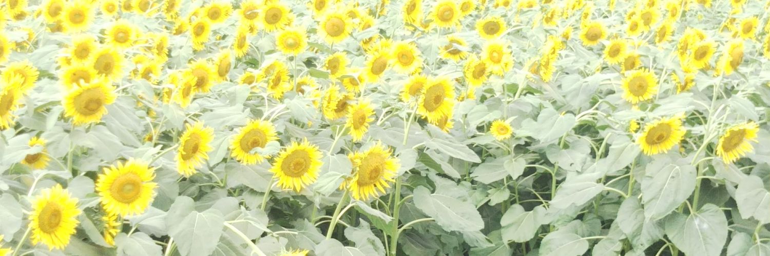circle0320hy's profile banner image