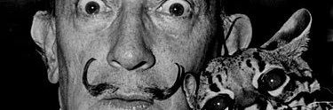 ainhoailty's profile banner image