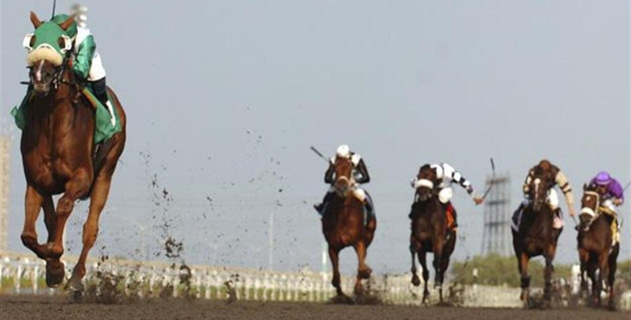 David Bell Racing banner