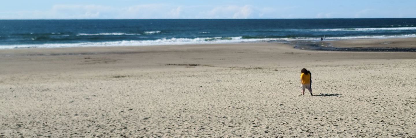iWingsy's profile banner image
