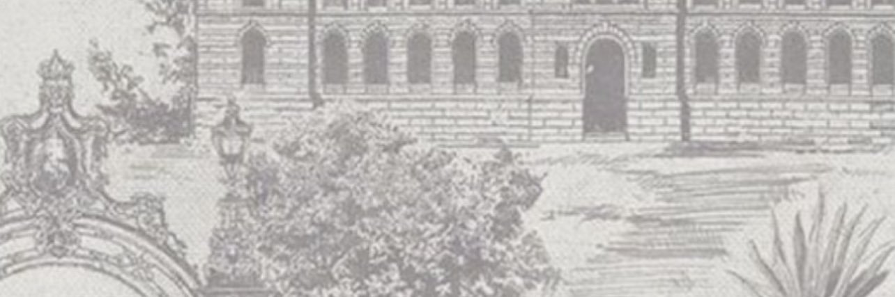 Hassaby's profile banner image