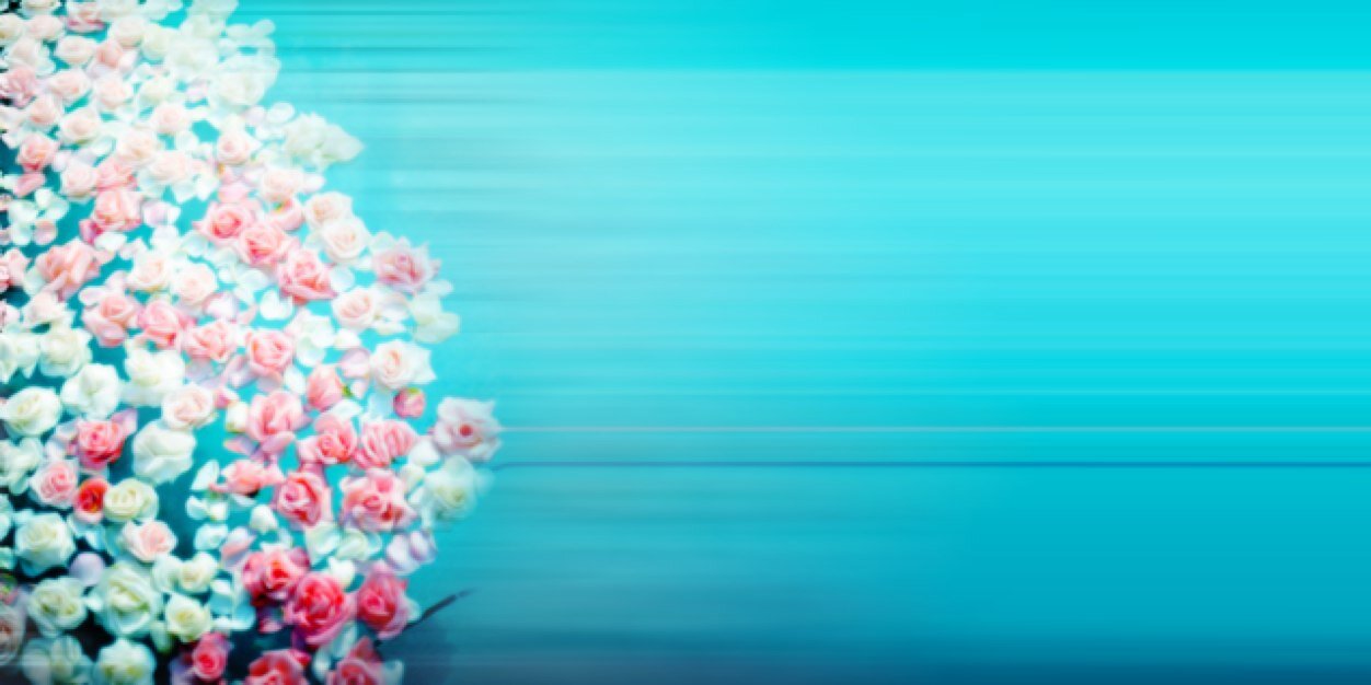 BarbaraPaypal's profile banner image