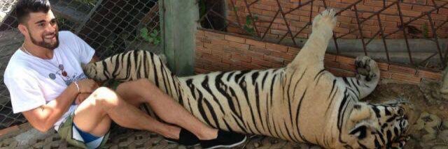 zukavitch's profile banner image