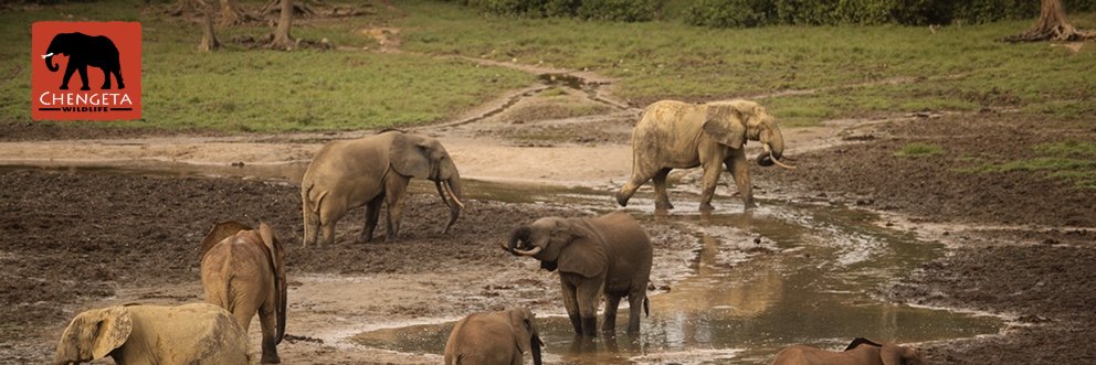 Chengeta Wildlife banner