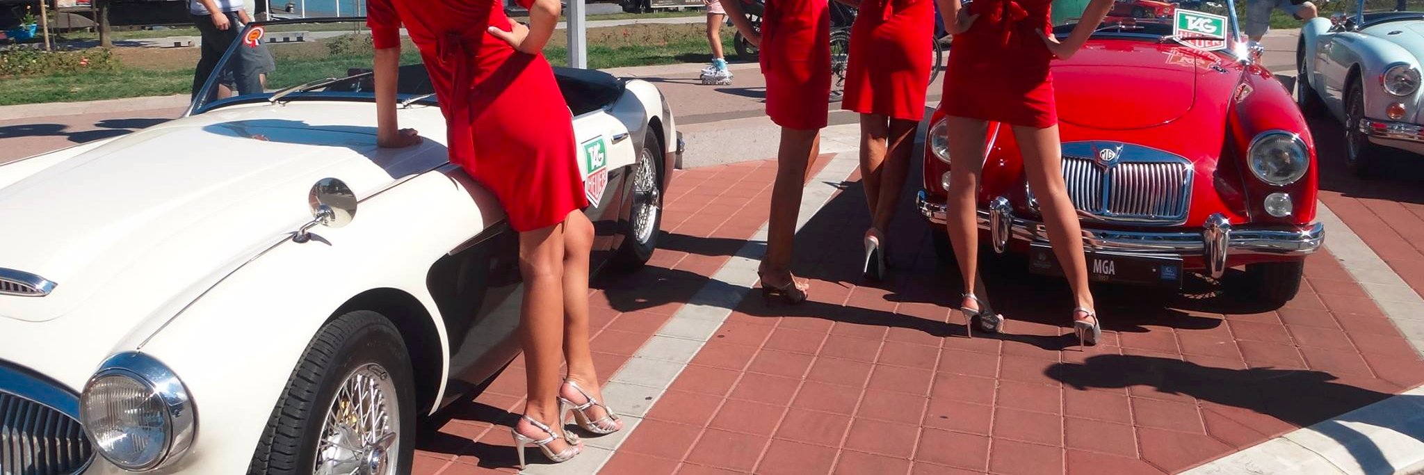 Austin Healey banner