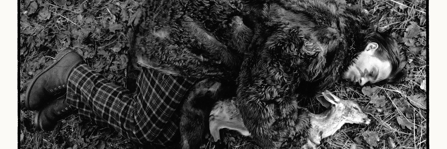 chat15noir's profile banner image