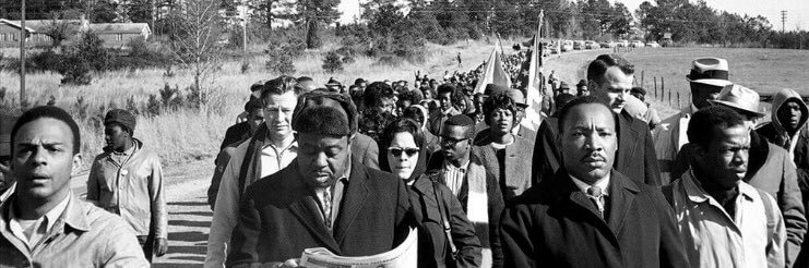 Eric R. 🐞🌱😶‍🌫️ banner