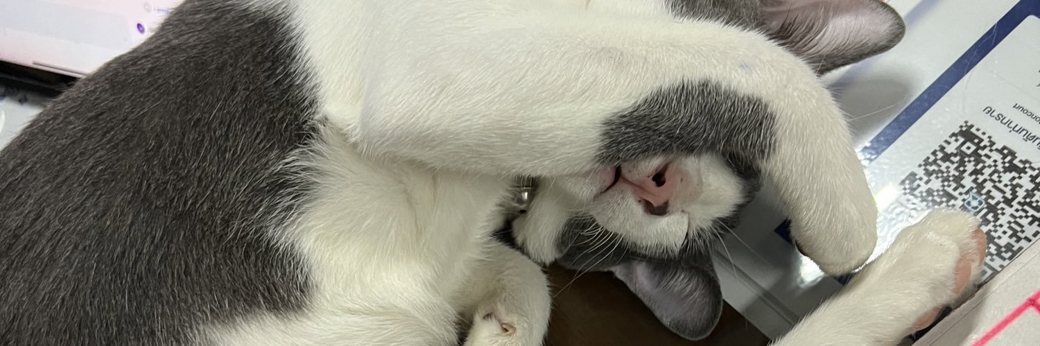 natthatangmay's profile banner image