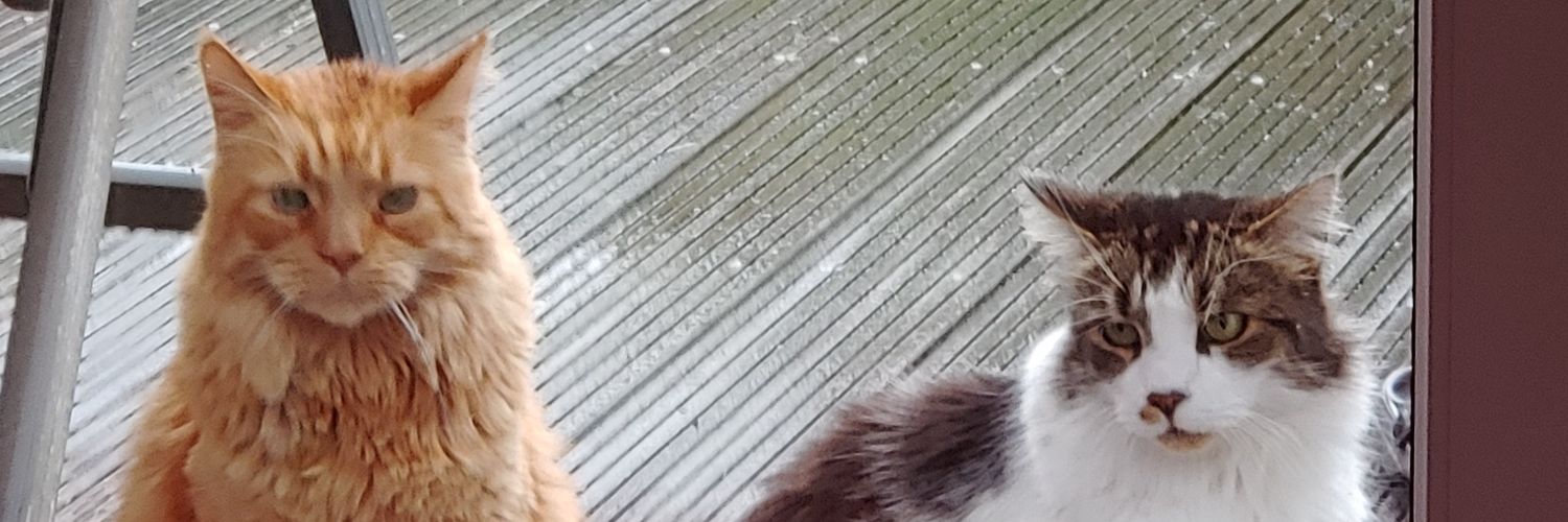 rububben's profile banner image