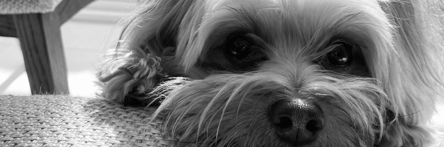 marysol_4's profile banner image