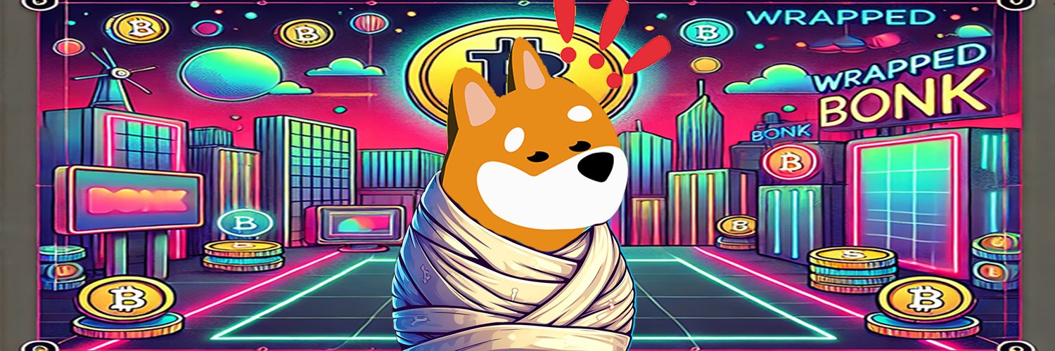 Wrapped_BONKSol's profile banner image