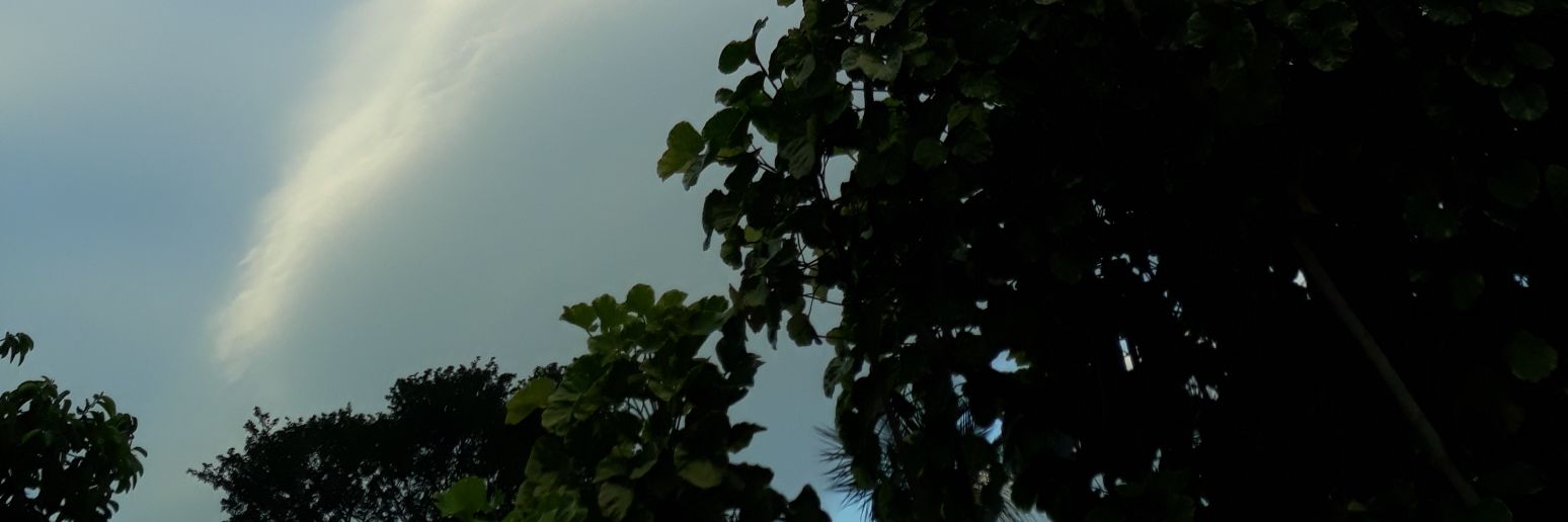 SIGO SIENDO YO! ISA! banner